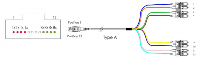 Кабель OM3 MTP хобота MTP женский к 4 SC UPC 8 волокон кабель 1 заплаты проламывания 50/125 проводок
